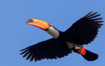 Weten jullie wel hoe saai vakken vullen is? vroeg onze jongste